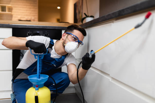 Best Termite Control Services  in World Golf Village, FL