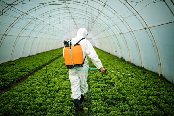 Best Pest Removal Services  in World Golf Village, FL