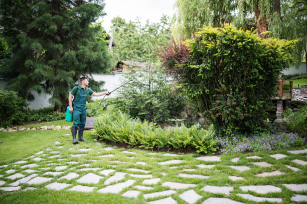Best Affordable Pest Control Services  in World Golf Village, FL