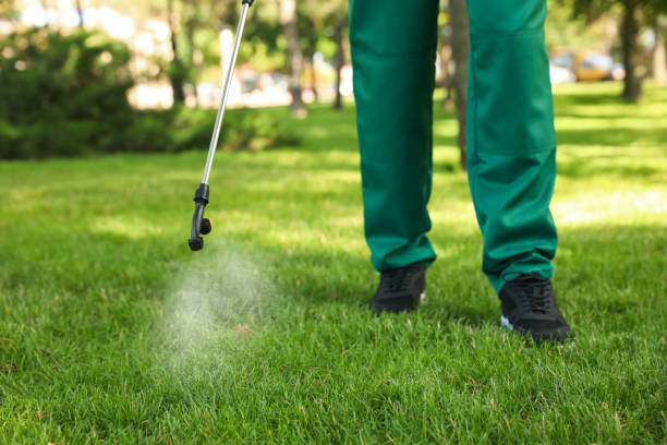 Best Mosquito Control Services  in World Golf Village, FL
