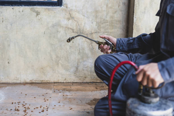 Best Exterminator Services  in World Golf Village, FL